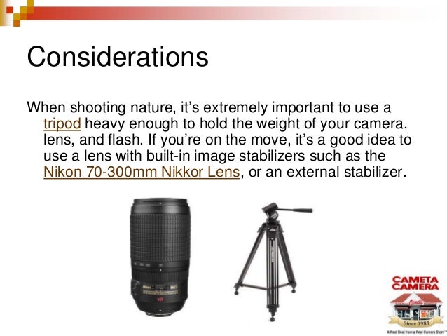 Best Lenses For Nature Photography
