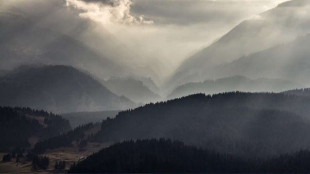 The Best Sunglasses Lens Tint For Cloudy Days