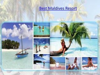 Best Maldives Resort
 
