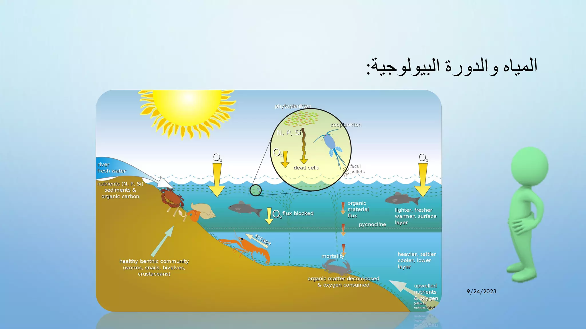 ‫البيولوجية‬ ‫والدورة‬ ‫المياه‬
:
9/24/2023
 