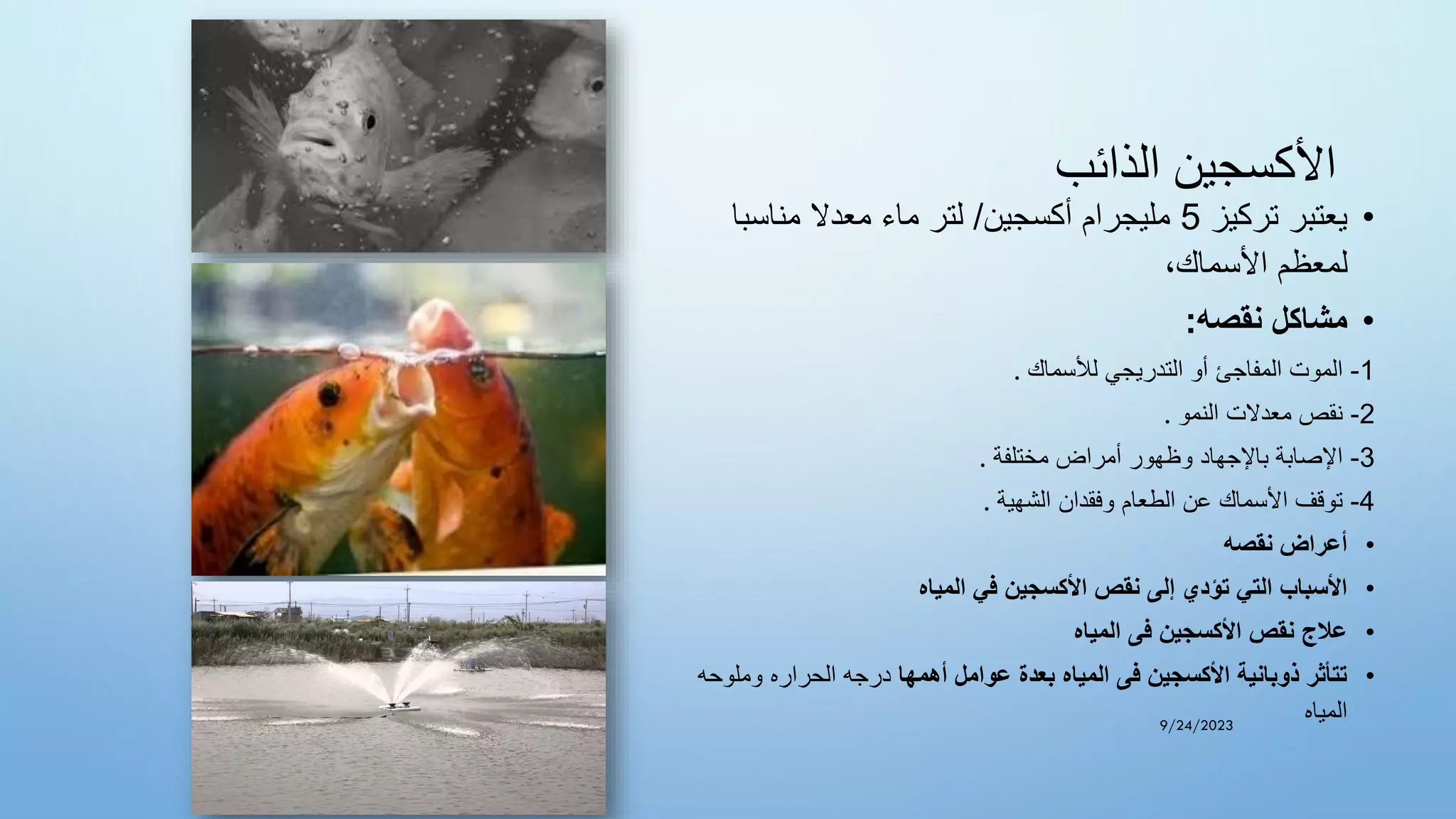 ‫الذائب‬ ‫األكسجين‬
•
‫تركيز‬ ‫يعتبر‬
5
‫أكسجين‬ ‫مليجرام‬
/
‫مناسبا‬ ‫معدال‬ ‫ماء‬ ‫لتر‬
،‫األسماك‬ ‫لمعظم‬
•
‫نقصه‬ ‫مشاكل‬
:
1
-
‫لألسماك‬ ‫التدريجي‬ ‫أو‬ ‫المفاجئ‬ ‫الموت‬
.
2
-
‫النمو‬ ‫معدالت‬ ‫نقص‬
.
3
-
‫مختلفة‬ ‫أمراض‬ ‫وظهور‬ ‫باإلجهاد‬ ‫اإلصابة‬
.
4
-
‫الشهية‬ ‫وفقدان‬ ‫الطعام‬ ‫عن‬ ‫األسماك‬ ‫توقف‬
.
•
‫نقصه‬ ‫أعراض‬
•
‫المياه‬ ‫في‬ ‫األكسجين‬ ‫نقص‬ ‫إلى‬ ‫تؤدي‬ ‫التي‬ ‫األسباب‬
•
‫المياه‬ ‫فى‬ ‫األكسجين‬ ‫نقص‬ ‫عالج‬
•
‫أهمها‬ ‫عوامل‬ ‫بعدة‬ ‫المياه‬ ‫فى‬ ‫األكسجين‬ ‫ذوبانية‬ ‫تتأثر‬
‫وملوحه‬ ‫الحراره‬ ‫درجه‬
‫المياه‬
9/24/2023
 