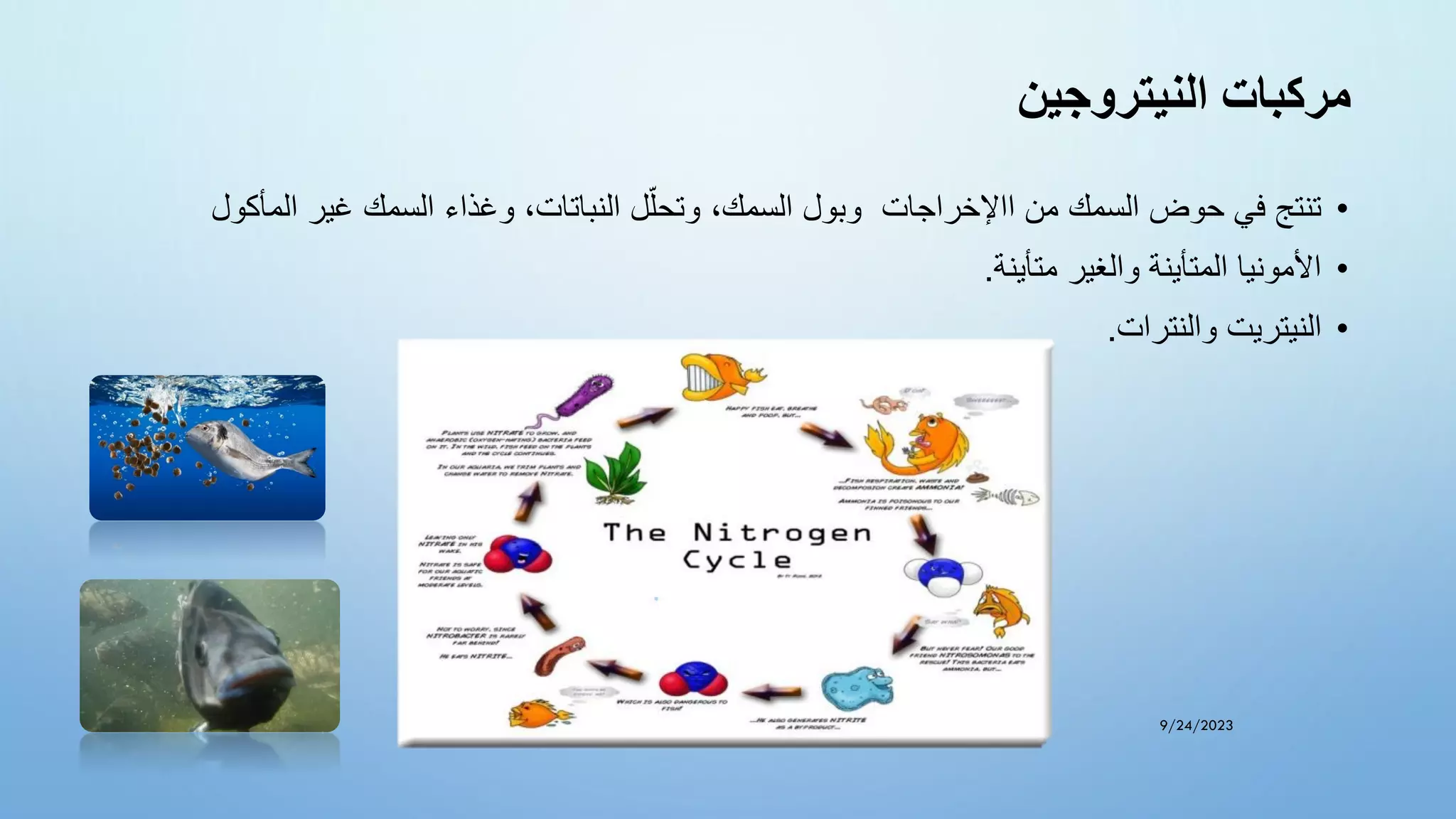 ‫النيتروجين‬ ‫مركبات‬
•
‫وغ‬ ،‫النباتات‬ ‫ل‬ّ‫وتحل‬ ،‫السمك‬ ‫وبول‬ ‫ااإلخراجات‬ ‫من‬ ‫السمك‬ ‫حوض‬ ‫في‬ ‫تنتج‬
‫المأكول‬ ‫غير‬ ‫السمك‬ ‫ذاء‬
•
‫متأينة‬ ‫والغير‬ ‫المتأينة‬ ‫األمونيا‬
.
•
‫والنترات‬ ‫النيتريت‬
.
9/24/2023
 