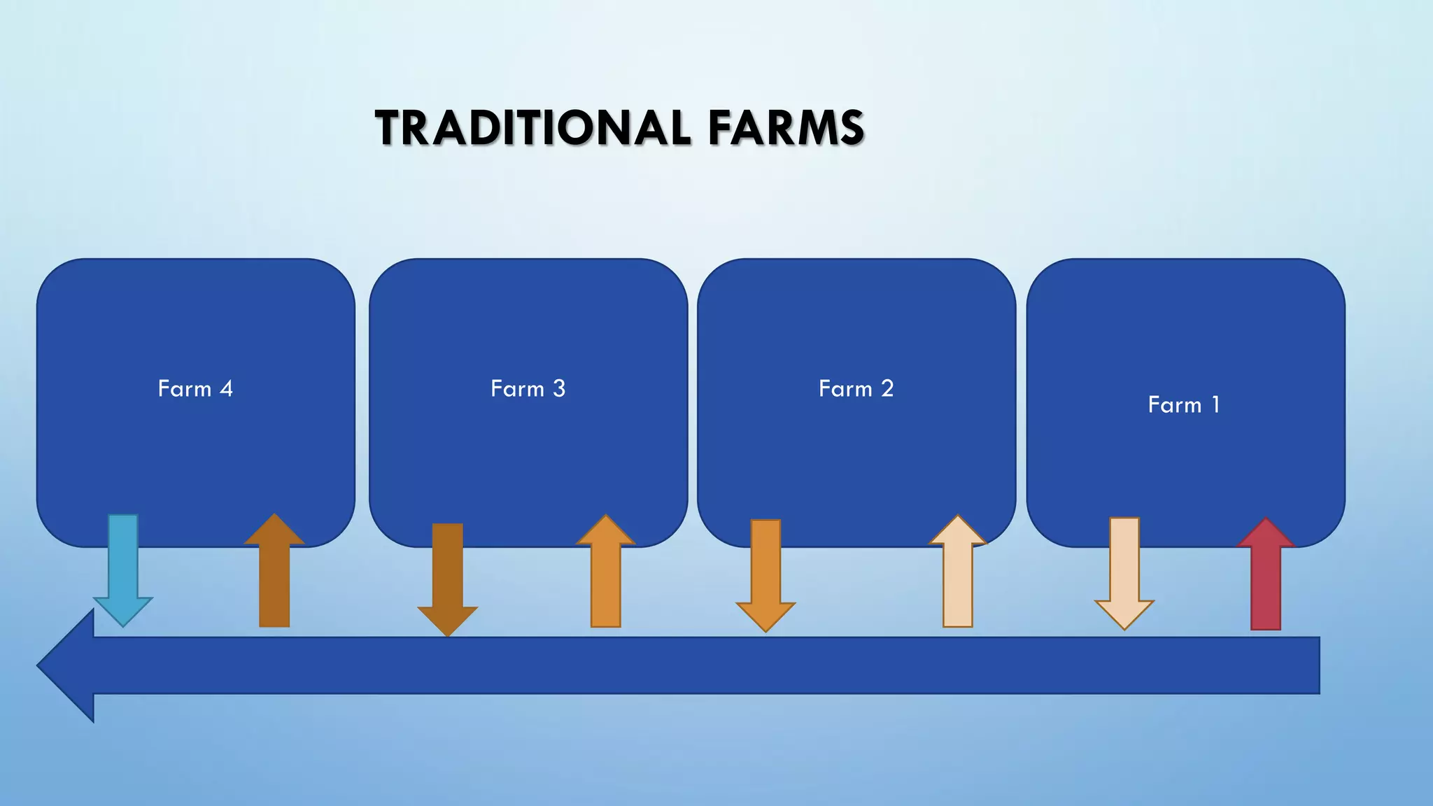 TRADITIONAL FARMS
Farm 4 Farm 3 Farm 2
Farm 1
 