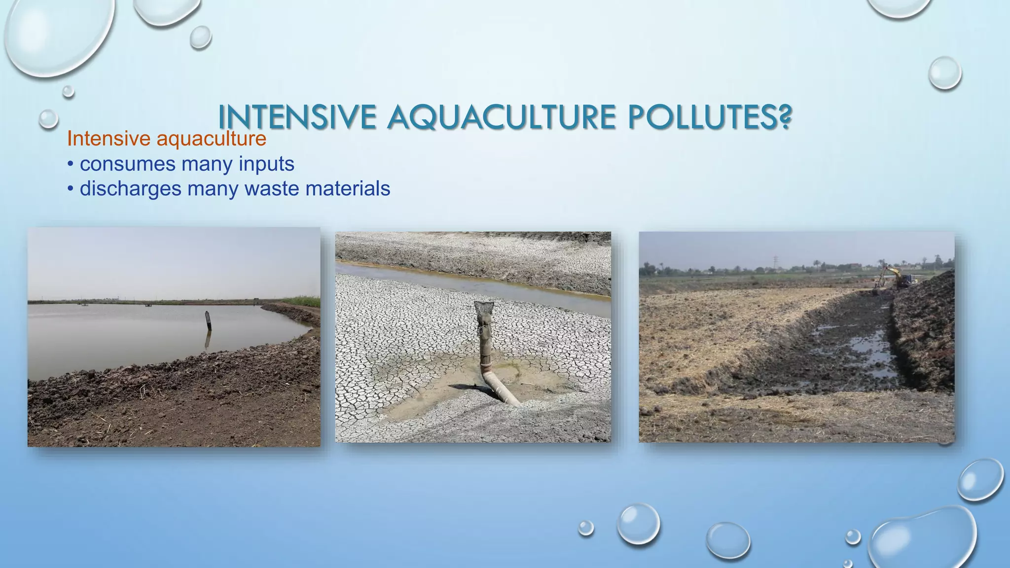 INTENSIVE AQUACULTURE POLLUTES?
Intensive aquaculture
• consumes many inputs
• discharges many waste materials
 
