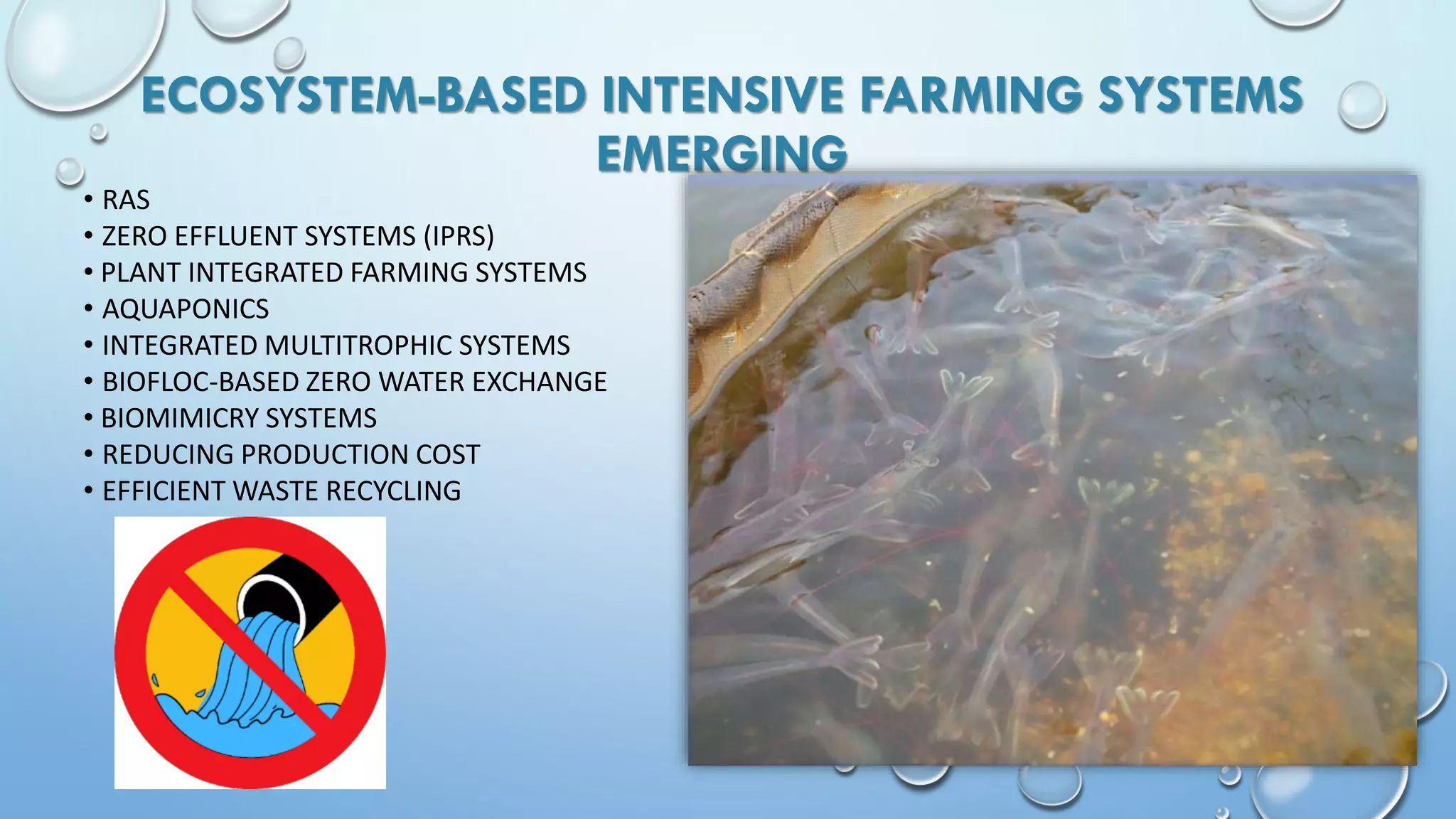 ECOSYSTEM-BASED INTENSIVE FARMING SYSTEMS
EMERGING
• RAS
• ZERO EFFLUENT SYSTEMS (IPRS)
• PLANT INTEGRATED FARMING SYSTEMS
• AQUAPONICS
• INTEGRATED MULTITROPHIC SYSTEMS
• BIOFLOC-BASED ZERO WATER EXCHANGE
• BIOMIMICRY SYSTEMS
• REDUCING PRODUCTION COST
• EFFICIENT WASTE RECYCLING
 