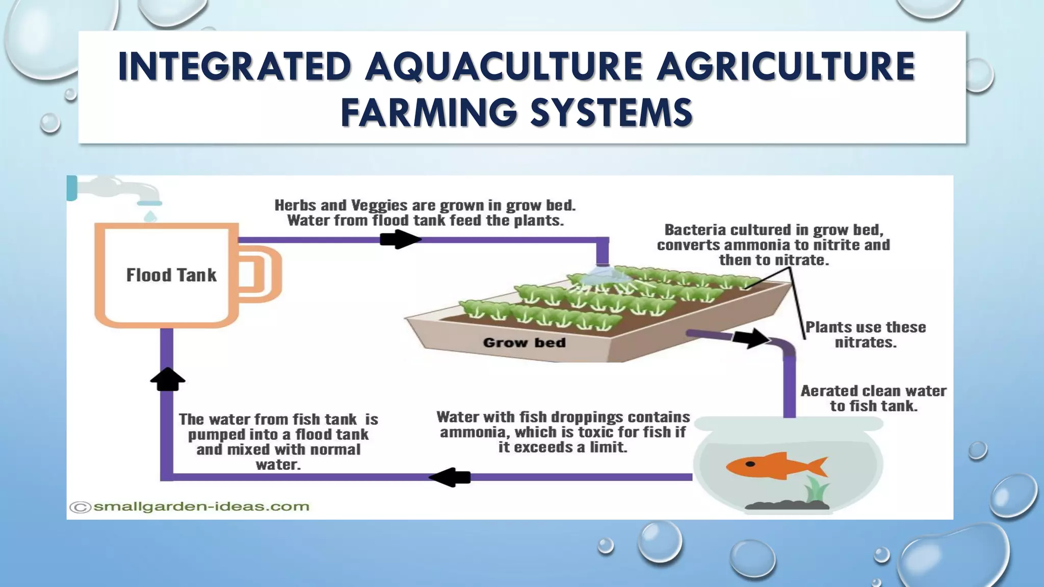 INTEGRATED AQUACULTURE AGRICULTURE
FARMING SYSTEMS
 