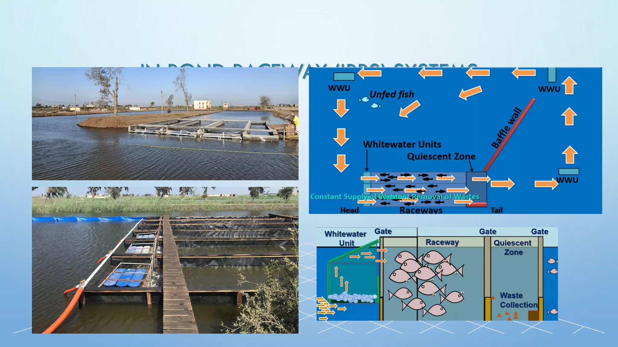 IN POND RACEWAY (IPRS) SYSTEMS
 