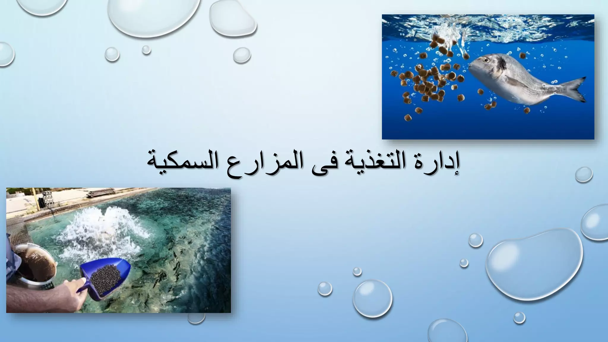 ‫السمكية‬ ‫المزارع‬ ‫فى‬ ‫التغذية‬ ‫إدارة‬
 