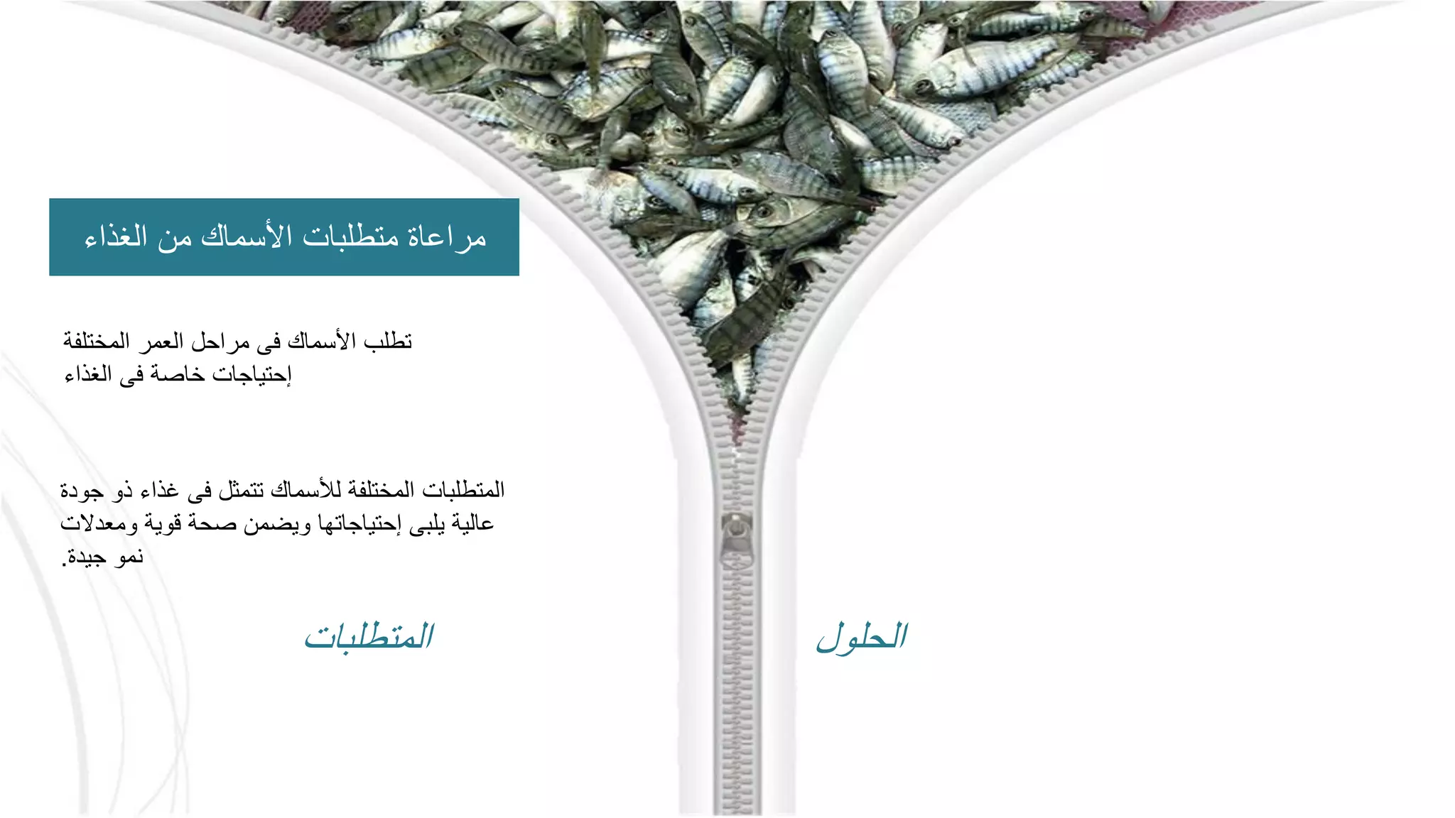 ‫الغذاء‬ ‫من‬ ‫األسماك‬ ‫متطلبات‬ ‫مراعاة‬
‫المختلفة‬ ‫العمر‬ ‫مراحل‬ ‫فى‬ ‫األسماك‬ ‫تطلب‬
‫الغذاء‬ ‫فى‬ ‫خاصة‬ ‫إحتياجات‬
‫جو‬ ‫ذو‬ ‫غذاء‬ ‫فى‬ ‫تتمثل‬ ‫لألسماك‬ ‫المختلفة‬ ‫المتطلبات‬
‫دة‬
‫ومعدالت‬ ‫قوية‬ ‫صحة‬ ‫ويضمن‬ ‫إحتياجاتها‬ ‫يلبى‬ ‫عالية‬
‫جيدة‬ ‫نمو‬
.
‫المتطلبات‬ ‫الحلول‬
 