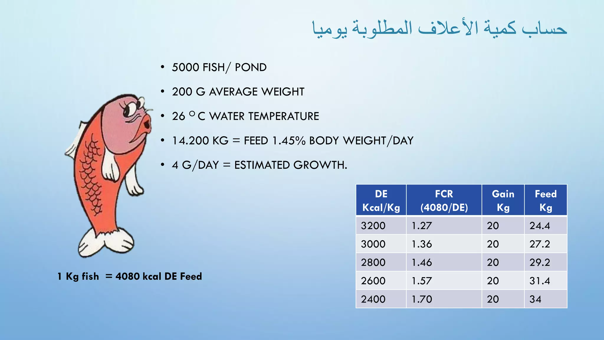 • 5000 FISH/ POND
• 200 G AVERAGE WEIGHT
• 26 O C WATER TEMPERATURE
• 14.200 KG = FEED 1.45% BODY WEIGHT/DAY
• 4 G/DAY = ESTIMATED GROWTH.
‫يوميا‬ ‫المطلوبة‬ ‫األعالف‬ ‫كمية‬ ‫حساب‬
1 Kg fish = 4080 kcal DE Feed
Feed
Kg
Gain
Kg
FCR
(4080/DE)
DE
Kcal/Kg
24.4
20
1.27
3200
27.2
20
1.36
3000
29.2
20
1.46
2800
31.4
20
1.57
2600
34
20
1.70
2400
 