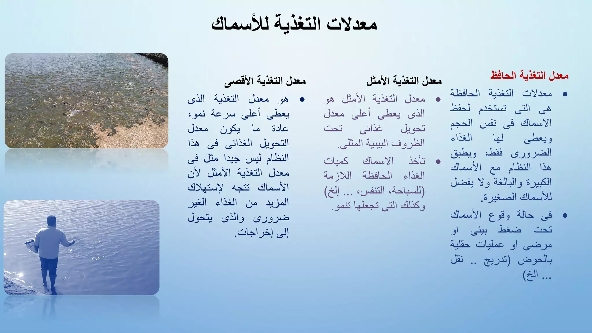 ‫التغذية‬ ‫معدالت‬
‫ل‬
‫أل‬
‫سماك‬
‫معدل‬
‫التغذية‬
‫الحافظ‬
•
‫معدالت‬
‫التغذية‬
‫الحافظة‬
‫هى‬
‫التى‬
‫تستخدم‬
‫لحفظ‬
‫األسماك‬
‫فى‬
‫نفس‬
‫الحجم‬
‫ويعطى‬
‫لها‬
‫الغذاء‬
‫الضرورى‬
،‫فقط‬
‫ويطبق‬
‫هذا‬
‫النظام‬
‫مع‬
‫األسماك‬
‫الكبيرة‬
‫والبالغة‬
‫وال‬
‫ي‬
‫فضل‬
‫لألسماك‬
‫الصغيرة‬
.
•
‫فى‬
‫حالة‬
‫وقوع‬
‫األسماك‬
‫تحت‬
‫ضغط‬
‫بيئى‬
‫او‬
‫مرضى‬
‫او‬
‫عمليات‬
‫حقلية‬
‫بالحوض‬
(
‫تدريج‬
..
‫نقل‬
...
‫الخ‬
)
‫معدل‬
‫التغذية‬
‫األمثل‬
•
‫معدل‬
‫التغذية‬
‫األمثل‬
‫هو‬
‫الذى‬
‫يعطى‬
‫أعلى‬
‫معدل‬
‫تحويل‬
‫غذائى‬
‫تحت‬
‫الظروف‬
‫البيئية‬
‫المثل‬
‫ى‬
.
•
‫تأخذ‬
‫األسماك‬
‫كميات‬
‫الغذاء‬
‫الحافظة‬
‫الالزمة‬
(
،‫للسباحة‬
،‫التنفس‬
...
‫إلخ‬
)
‫وكذلك‬
‫التى‬
‫تجعلها‬
‫تن‬
‫مو‬
.
‫معدل‬
‫التغذية‬
‫األقصى‬
•
‫هو‬
‫معدل‬
‫التغذية‬
‫الذى‬
‫يعطى‬
‫أعلى‬
‫سرعة‬
‫نمو‬
،
‫عادة‬
‫ما‬
‫يكون‬
‫معدل‬
‫التحويل‬
‫الغذائى‬
‫فى‬
‫هذ‬
‫ا‬
‫النظام‬
‫ليس‬
‫جيدا‬
‫مثل‬
‫ف‬
‫ى‬
‫معدل‬
‫التغذية‬
‫األمثل‬
‫ألن‬
‫األسماك‬
‫تتجه‬
‫إل‬
‫ستهالك‬
‫المزيد‬
‫من‬
‫الغذاء‬
‫الغير‬
‫ضرورى‬
‫والذى‬
‫يتحول‬
‫إ‬
‫لى‬
‫إ‬
‫خراجات‬
.
 