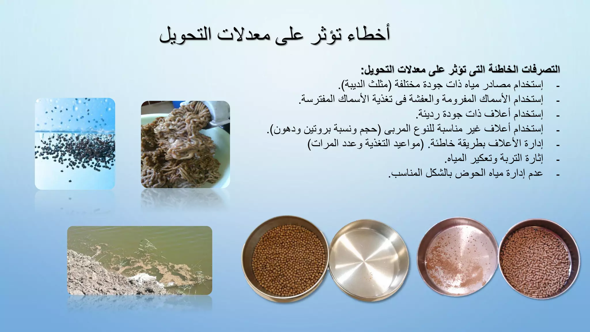 ‫التحويل‬ ‫معدالت‬ ‫على‬ ‫تؤثر‬ ‫أخطاء‬
‫التصرفات‬
‫الخاطئة‬
‫التى‬
‫تؤثر‬
‫على‬
‫معدالت‬
‫التحويل‬
:
-
‫إستخدام‬
‫مصادر‬
‫مياه‬
‫ذات‬
‫جودة‬
‫مختلفة‬
(
‫مثلث‬
‫الديبة‬
)
.
-
‫إستخدام‬
‫األسماك‬
‫المفرومة‬
‫والعفشة‬
‫فى‬
‫تغذية‬
‫األسماك‬
‫المفترسة‬
.
-
‫إستخدام‬
‫أعالف‬
‫ذات‬
‫جودة‬
‫رديئة‬
.
-
‫إستخدام‬
‫أعالف‬
‫غير‬
‫مناسبة‬
‫للنوع‬
‫المربى‬
(
‫حجم‬
‫ونسبة‬
‫بروتين‬
‫ودهون‬
)
.
-
‫إدارة‬
‫األعالف‬
‫بطريقة‬
‫خاطئة‬
.
(
‫مواعيد‬
‫التغذية‬
‫وعدد‬
‫المرات‬
)
-
‫إثارة‬
‫التربة‬
‫وتعكير‬
‫المياه‬
.
-
‫عدم‬
‫إدارة‬
‫مياه‬
‫الحوض‬
‫بالشكل‬
‫المناسب‬
.
 