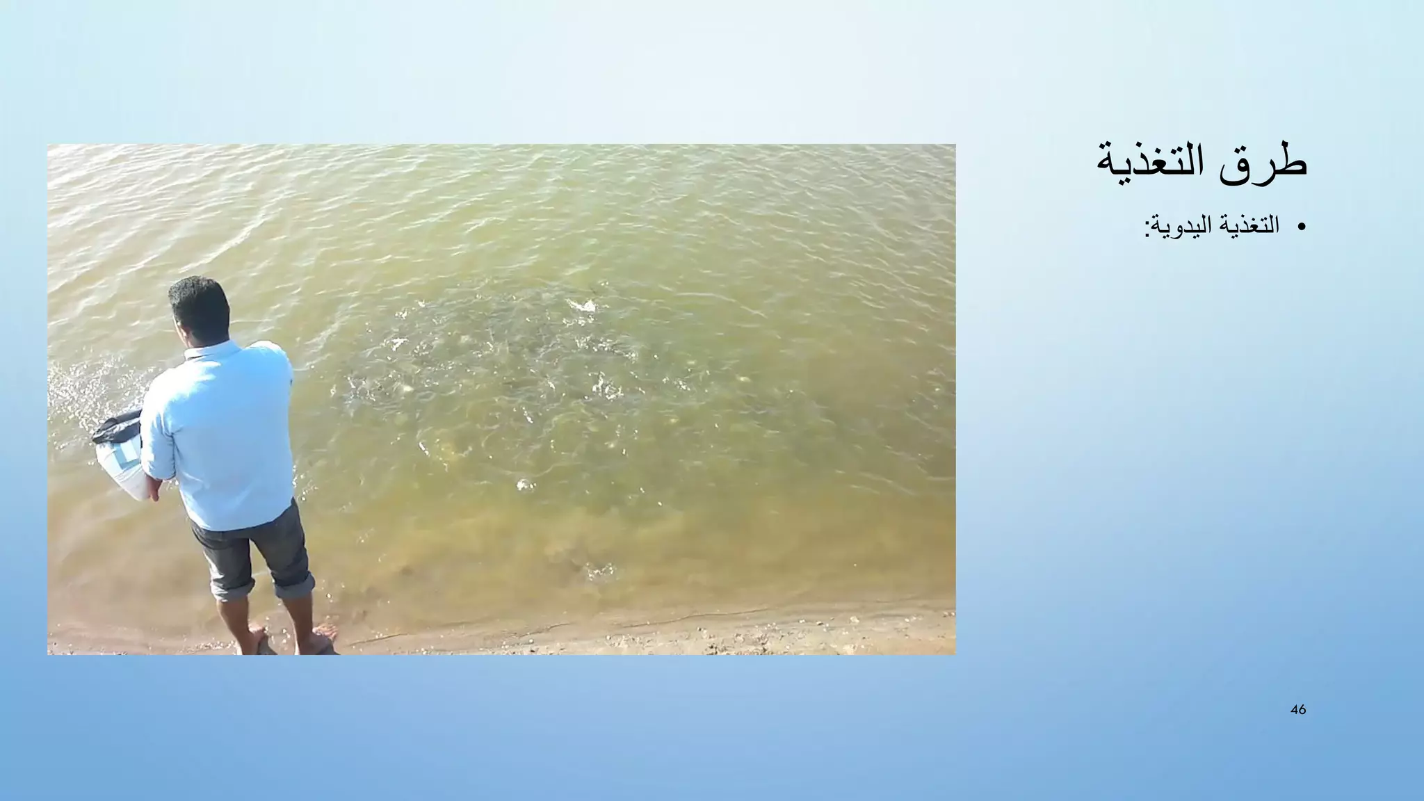 ‫التغذية‬ ‫طرق‬
•
‫اليدوية‬ ‫التغذية‬
:
46
 