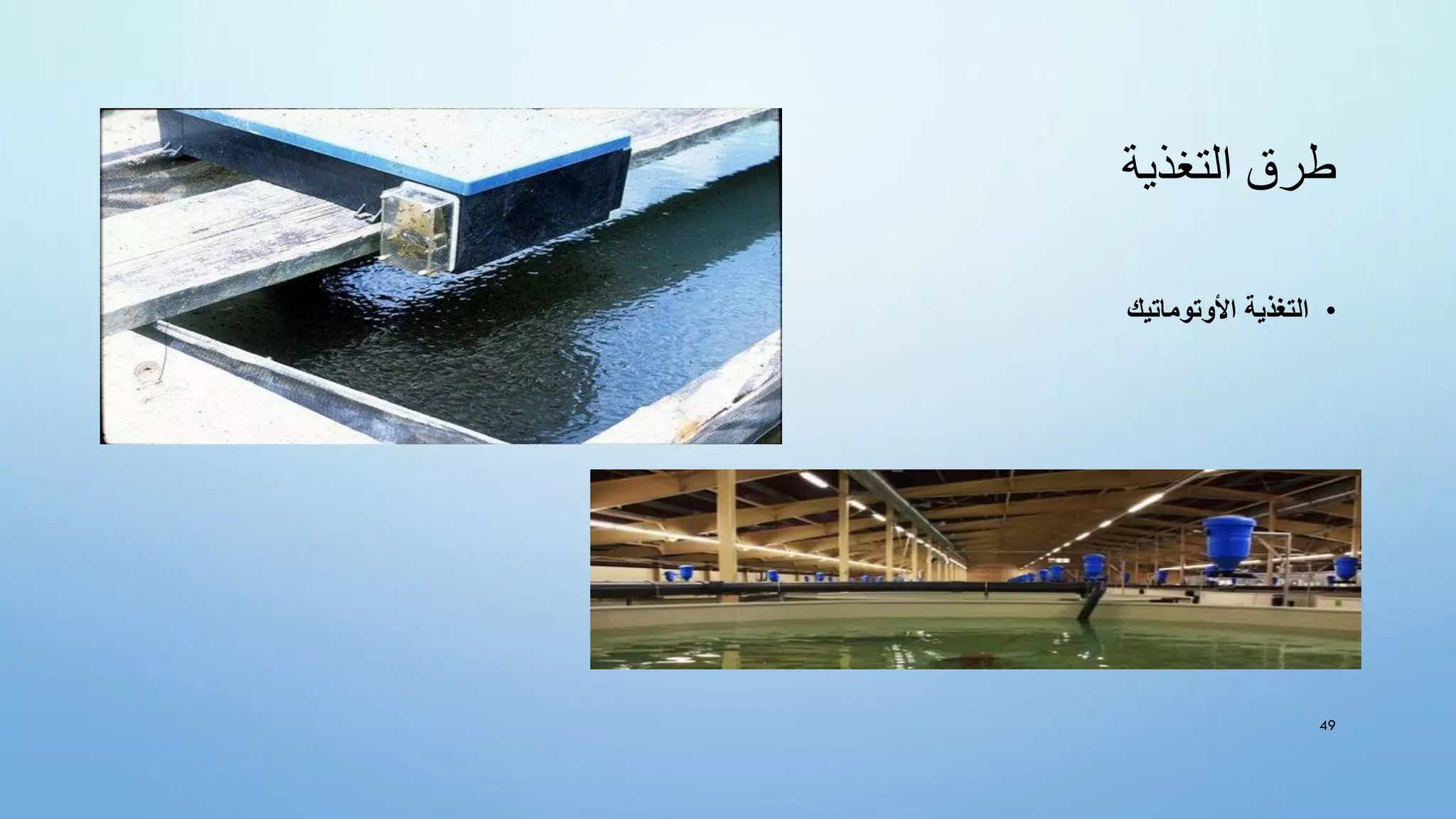 ‫التغذية‬ ‫طرق‬
•
‫األوتوماتيك‬ ‫التغذية‬
49
 