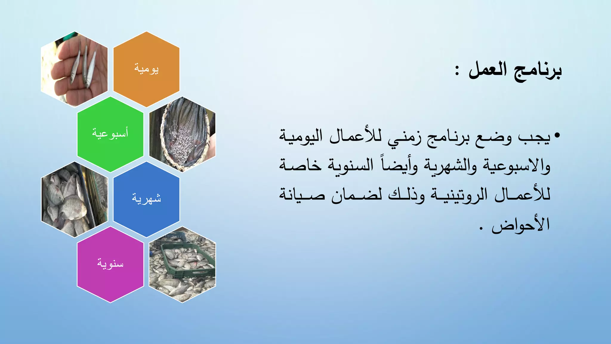 ‫العمل‬ ‫برنامج‬
:
•
‫ض‬ ‫ل‬ ‫ض‬ ‫بن‬‫ب‬ ‫ضليو‬ ‫ب‬‫ب‬‫م‬‫ضألي‬ ‫بني‬‫ب‬‫بنضمج‬‫ب‬ ‫بوضع‬‫ب‬‫ج‬‫ي‬
‫ض‬ ‫ب‬‫ب‬‫ي‬‫ي‬
‫ض‬‫بم‬‫س‬‫ل‬ ‫ض‬ً‫ن‬‫أيض‬‫ع‬‫ض‬ ‫ي‬‫ج‬‫لشه‬‫ضع‬ ‫عي‬ ‫السب‬‫ع‬
‫ض‬ ‫ب‬‫ص‬‫ضخن‬ ‫ي‬
‫بين‬‫ب‬‫ب‬‫ب‬‫ص‬‫ض‬ ‫ن‬ ‫ب‬‫ب‬‫ب‬‫ب‬‫ض‬‫ضل‬ ‫ب‬‫ب‬‫ب‬‫ب‬‫ل‬‫ضعن‬ ‫ب‬‫ب‬‫ب‬‫ب‬‫ي‬‫م‬ ‫لجعة‬ ‫ض‬ ‫بن‬‫ب‬‫ب‬‫ب‬ ‫ليو‬
‫ض‬
‫ضض‬ ‫ألح‬
.
‫يومية‬
‫أسبوعية‬
‫شهرية‬
‫سنوية‬
 