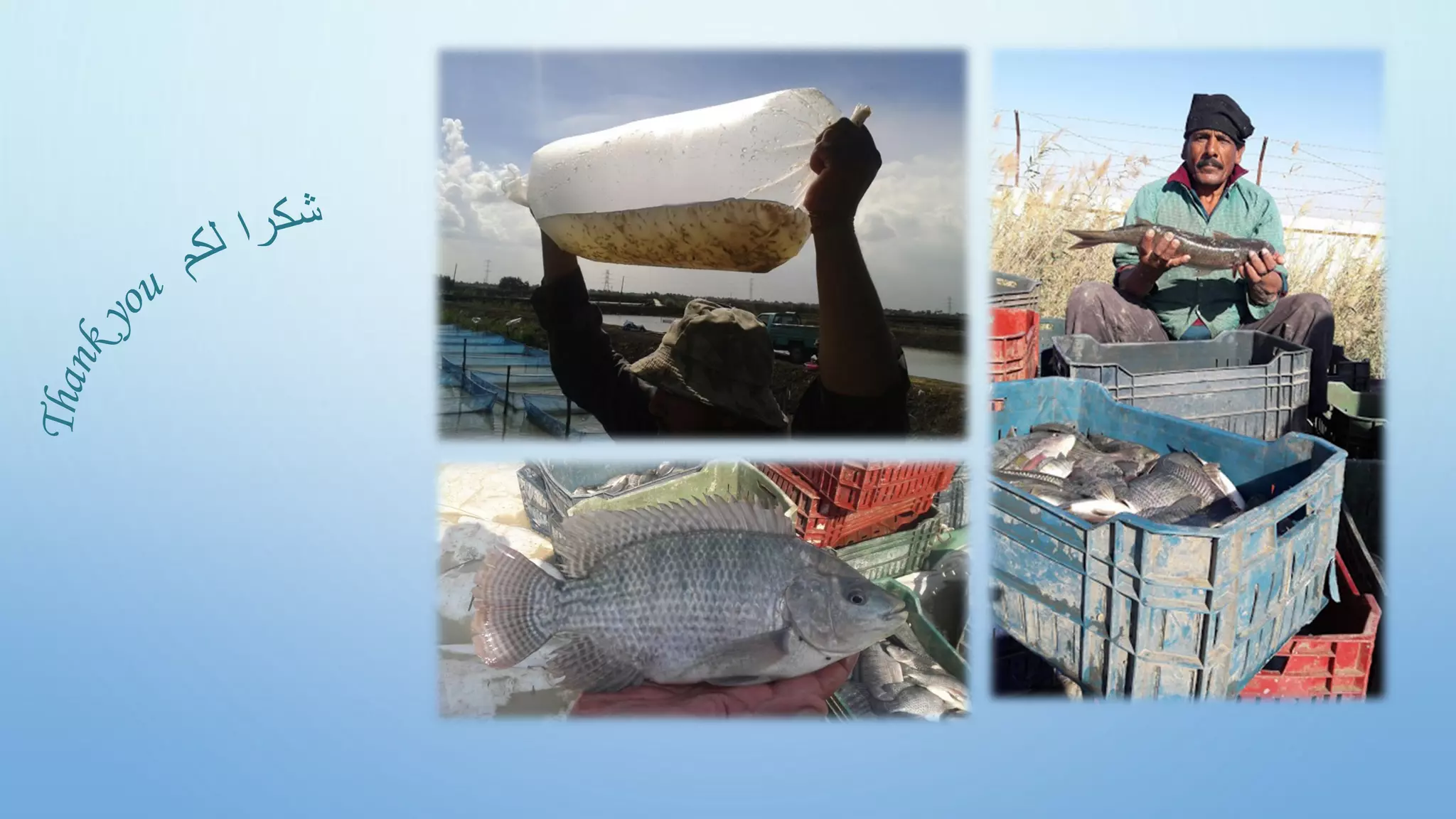 T
h
a
n
k
y
ou
‫ش‬
‫ك‬
‫ر‬
‫ا‬
‫ل‬
‫ك‬
‫م‬
 