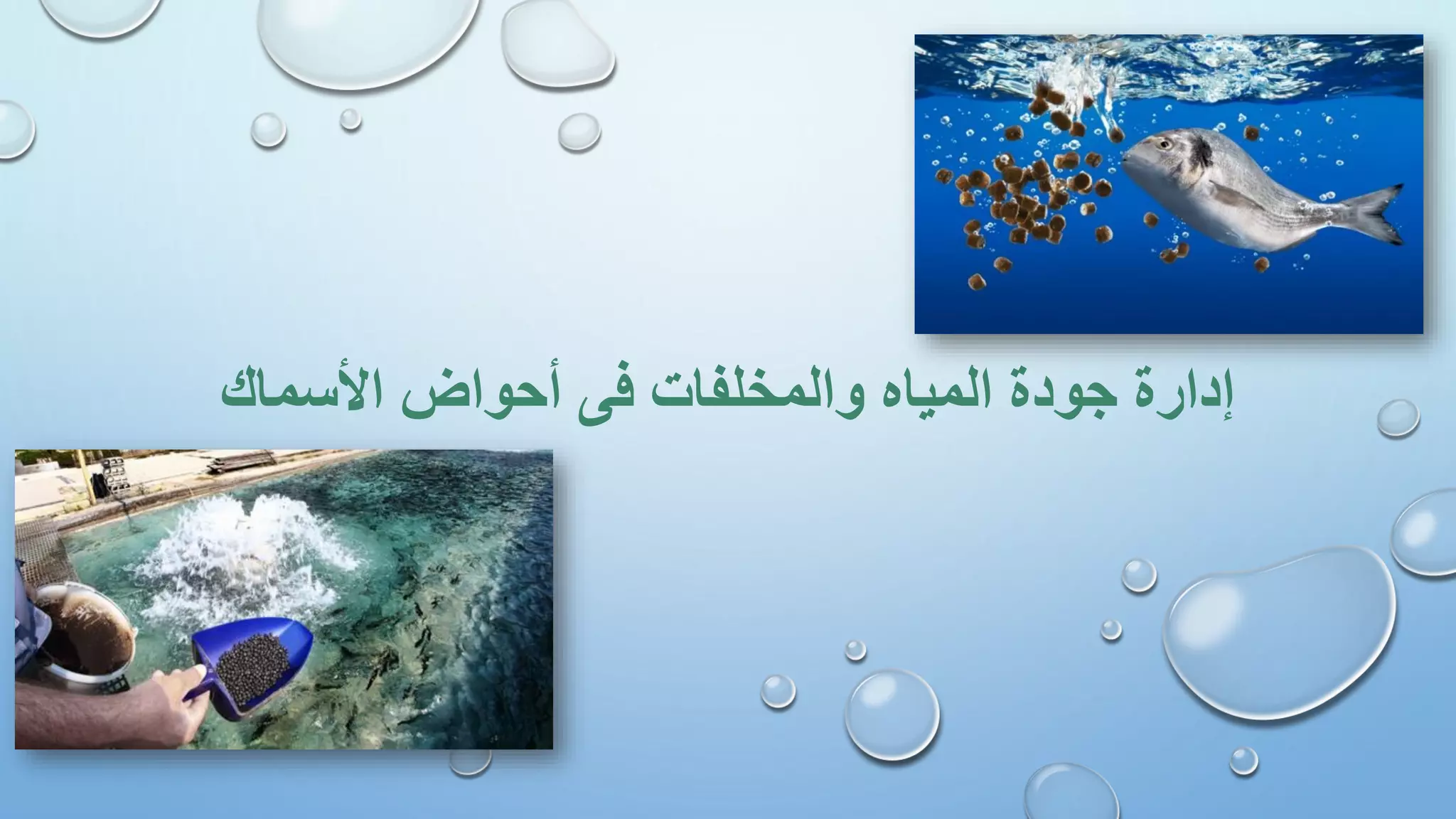 ‫األسماك‬ ‫أحواض‬ ‫فى‬ ‫والمخلفات‬ ‫المياه‬ ‫جودة‬ ‫إدارة‬
 