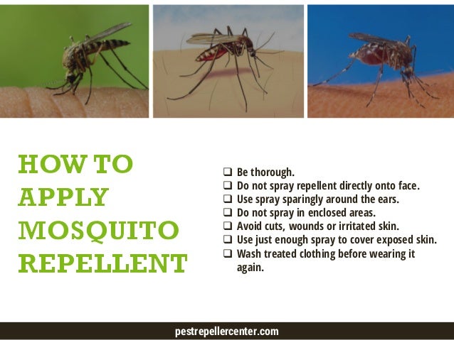 Best Mosquito Repellent - How to Efficiently Prevent Mosquito Bites - 웹
