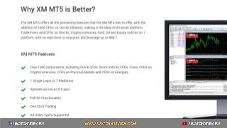 top mt5 forex brokers for beginners