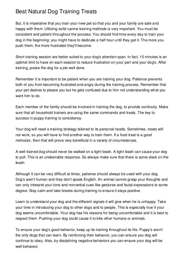 solid canine training