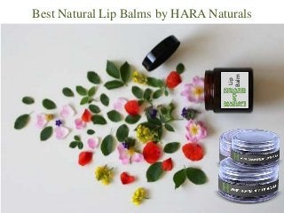 Best Natural Lip Balms by HARA Naturals
Lip
Balm
 