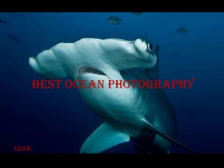 Best ocean photography




click
 