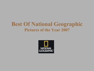 Best Of National Geographic Pictures of the Year  2007 