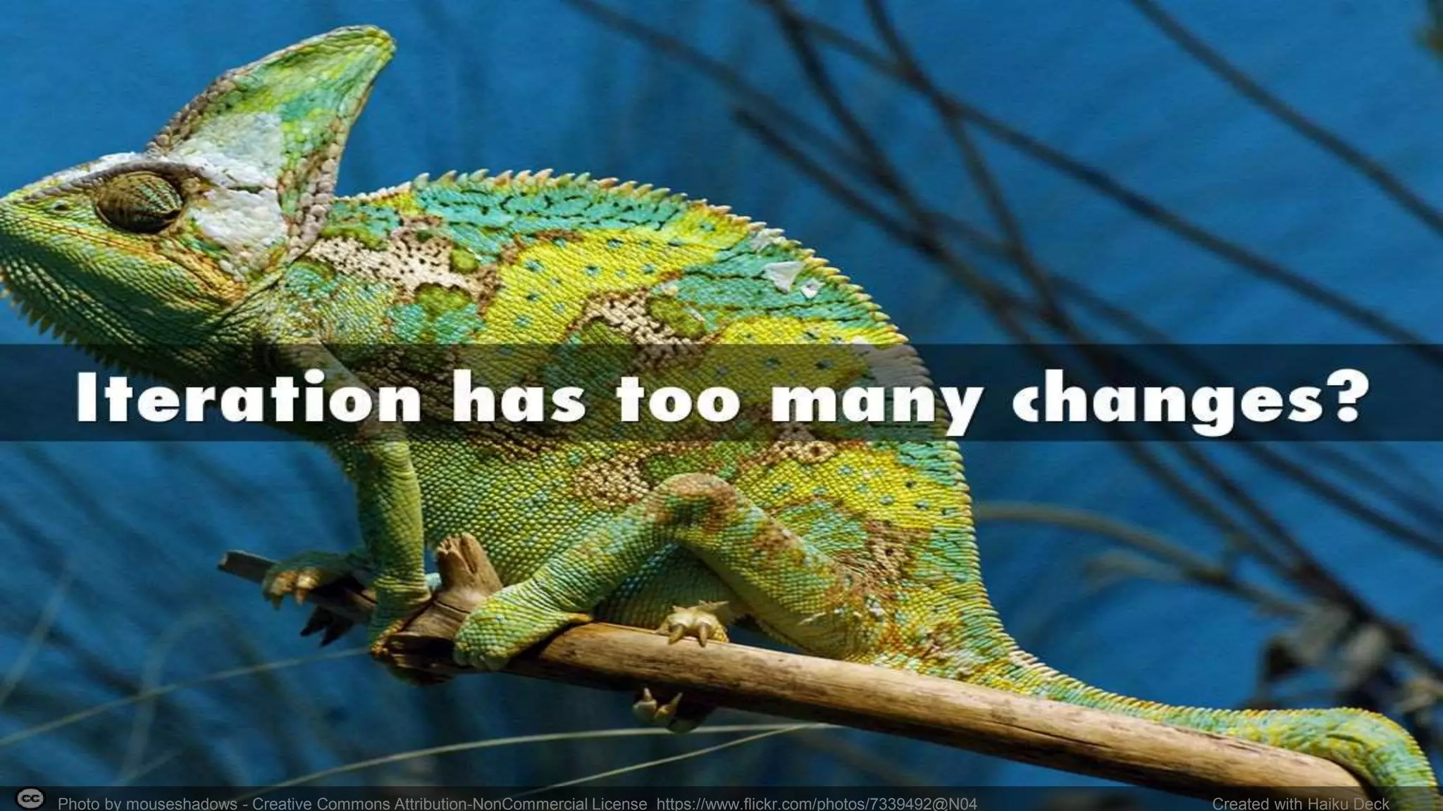 Photo by mouseshadows - Creative Commons Attribution-NonCommercial License https://www.flickr.com/photos/7339492@N04 Created with Haiku Deck
 