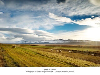 Best of Smithsonian Magazine 2014