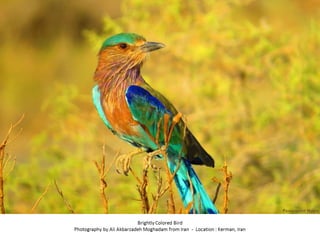 Best of Smithsonian Magazine 2014