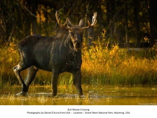 Best of Smithsonian Magazine 2014