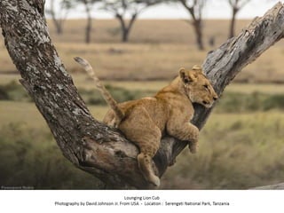 Best of Smithsonian Magazine 2014