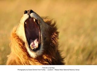 Best of Smithsonian Magazine 2014