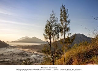 Best of Smithsonian Magazine 2014