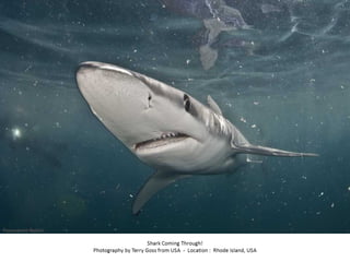 Best of Smithsonian Magazine 2014