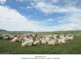 Best of Smithsonian Magazine 2014