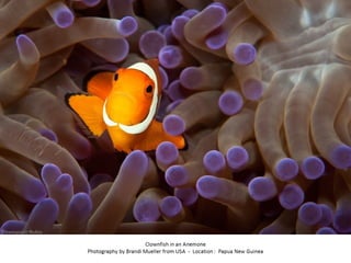 Best of Smithsonian Magazine 2014