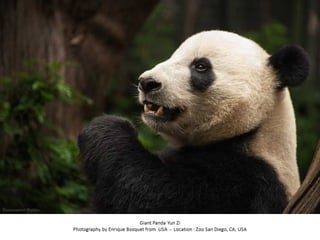 Best of Smithsonian Magazine 2014