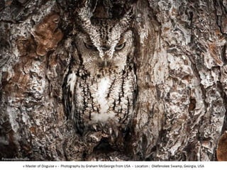Best of Smithsonian Magazine 2014