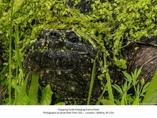 Best of Smithsonian Magazine 2014