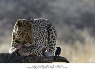 Best of Smithsonian Magazine 2014