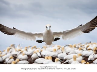 Best of Smithsonian Magazine 2014