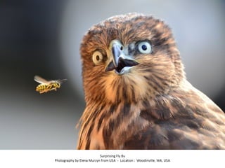 Best of Smithsonian Magazine 2014