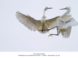 Best of Smithsonian Magazine 2014