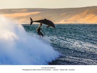 Best of Smithsonian Magazine 2014