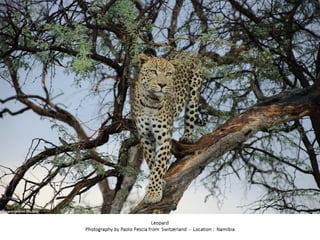 Best of Smithsonian Magazine 2014
