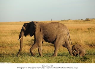 Best of Smithsonian Magazine 2014