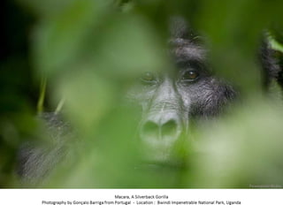 Best of Smithsonian Magazine 2014