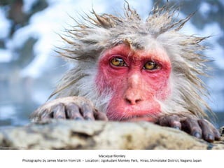 Best of Smithsonian Magazine 2014