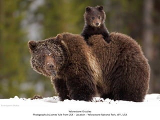 Best of Smithsonian Magazine 2014